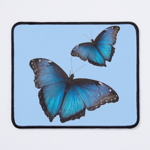 Item preview, Blue Morpho designed and sold by Jacquelie.