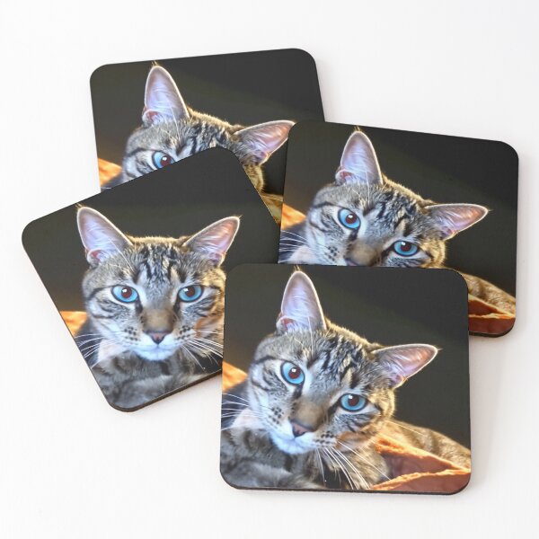 Item preview, My cat Blizzard designed and sold by T's&such.