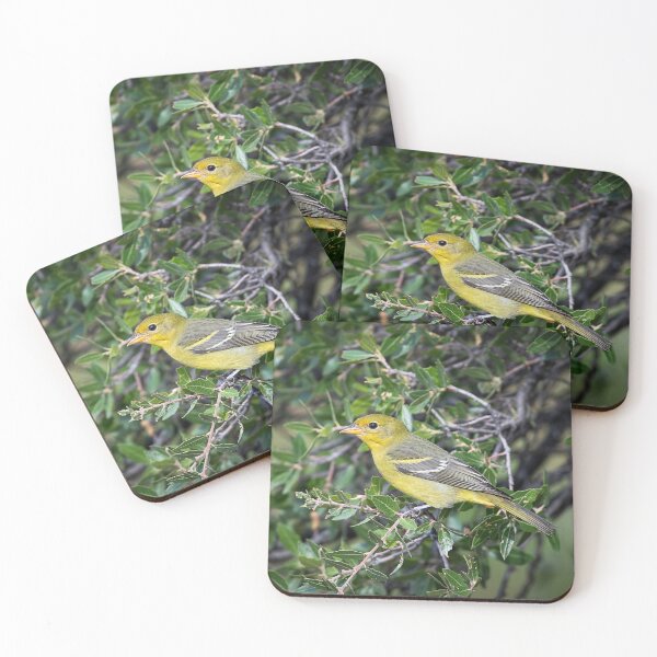 Item preview, Golden Perch designed and sold by WrightDesignsUS.