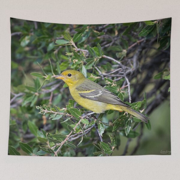 Item preview, Golden Perch designed and sold by WrightDesignsUS.