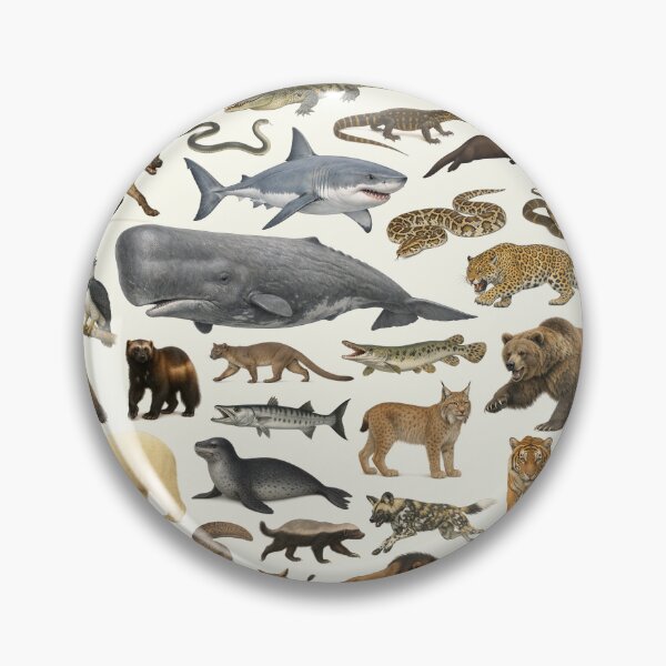 Item preview, Iconic Apex Predators Retro Style Wildlife Identification Chart designed and sold by kakarikihill.