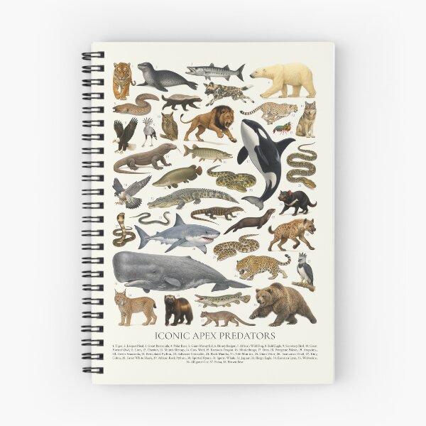 Item preview, Iconic Apex Predators Retro Style Wildlife Identification Chart designed and sold by kakarikihill.