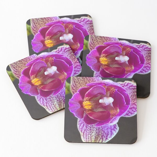 Item preview, Where Patients Blossoms designed and sold by Betsy Phillips.