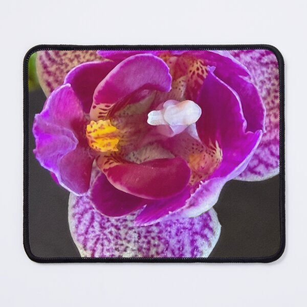 Item preview, Where Patients Blossoms designed and sold by Betsy Phillips.
