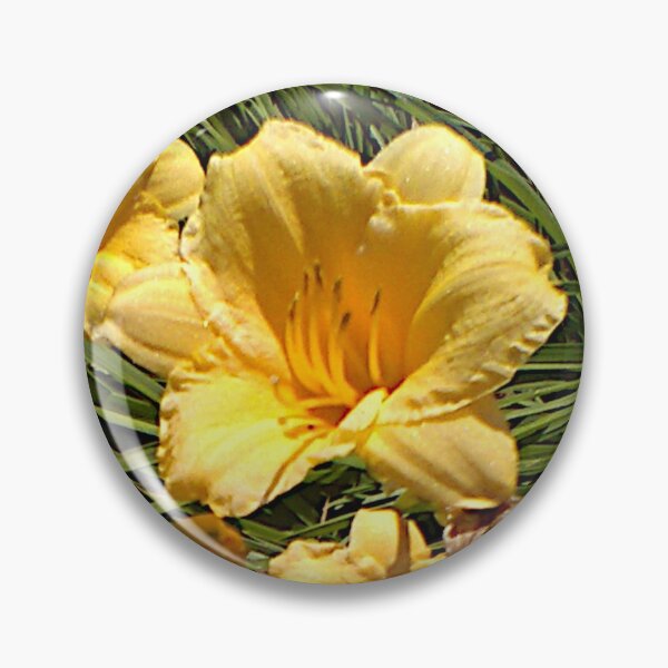 Item preview, Butter Blooms ~  designed and sold by Jeanine King.