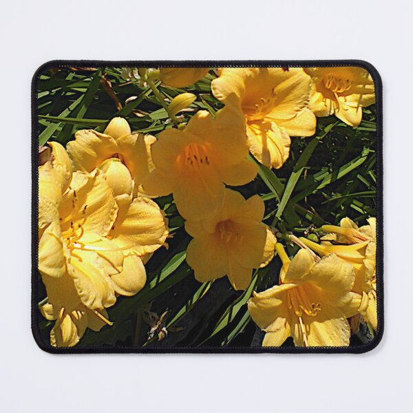 Item preview, Butter Blooms ~  designed and sold by Jeanine King.