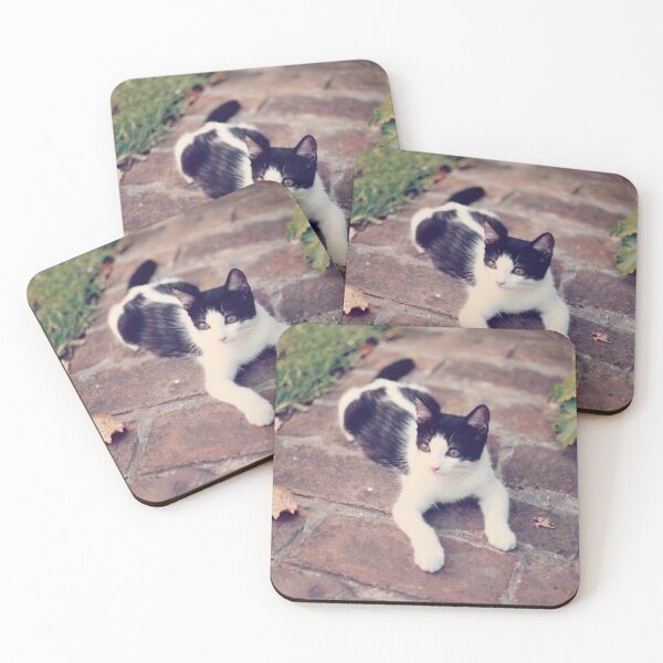 Item preview, Our Cat Tachin designed and sold by franciscopabloh.