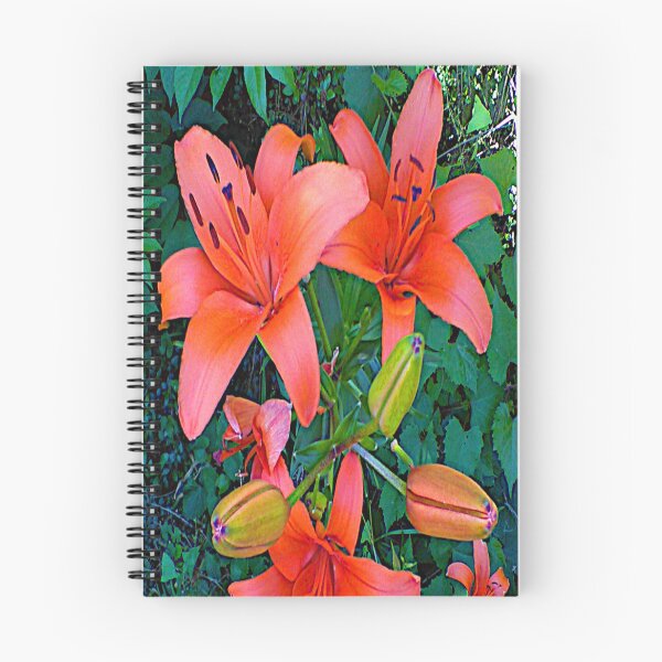 Item preview, Dazzling Day Lilies ~  designed and sold by Jeanine King.