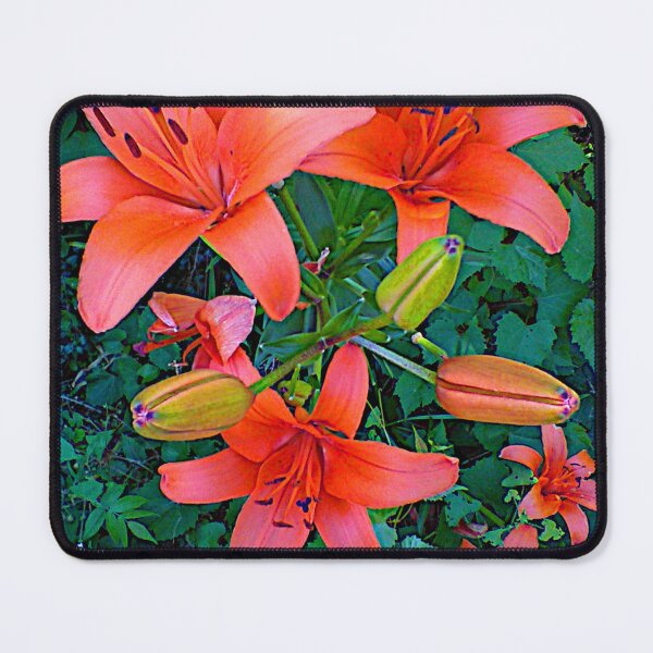 Item preview, Dazzling Day Lilies ~  designed and sold by Jeanine King.