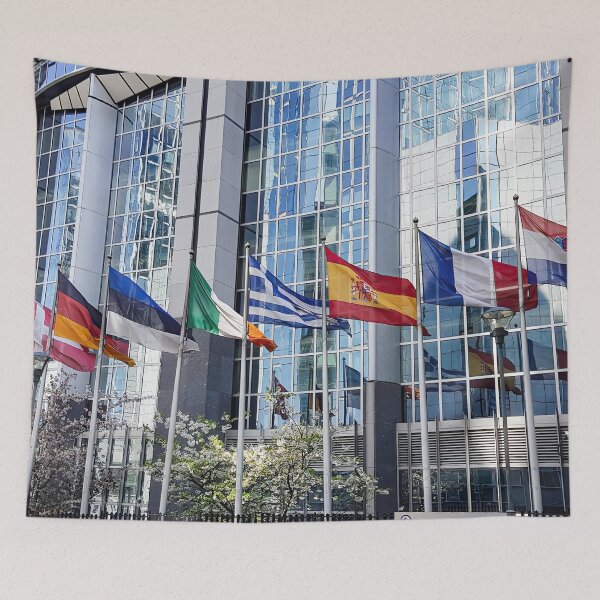 Artikelvorschau, Europäisches Parlament 1 entworfen und verkauft von nastiaart.