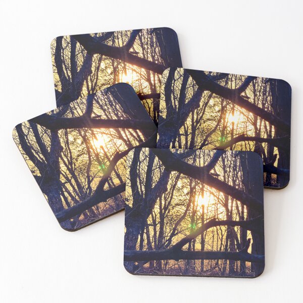 Item preview, Through the Branches – Forest Light at Sunset Nature Photography designed and sold by aadventures.
