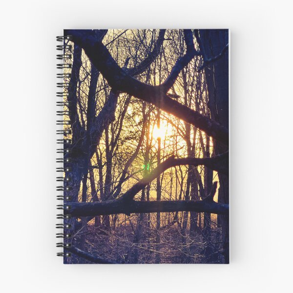 Item preview, Through the Branches – Forest Light at Sunset Nature Photography designed and sold by aadventures.