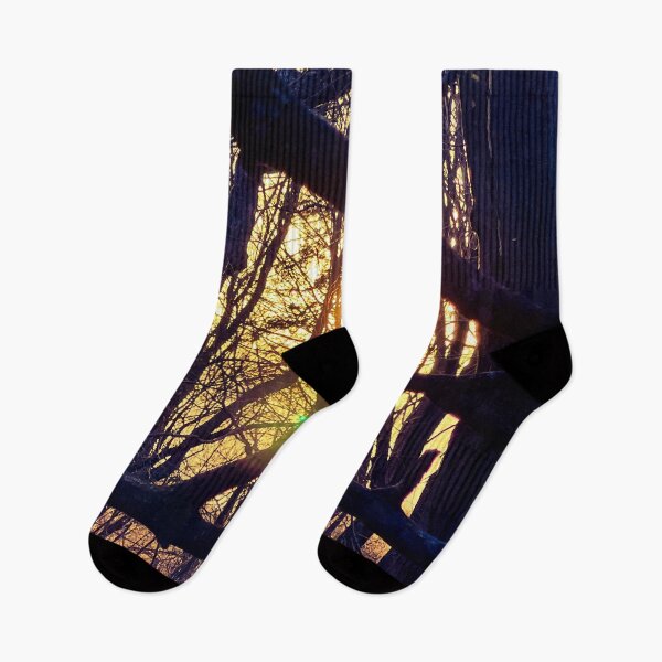 Item preview, Through the Branches – Forest Light at Sunset Nature Photography designed and sold by aadventures.