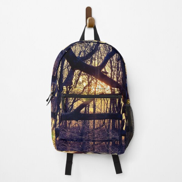 Item preview, Through the Branches – Forest Light at Sunset Nature Photography designed and sold by aadventures.