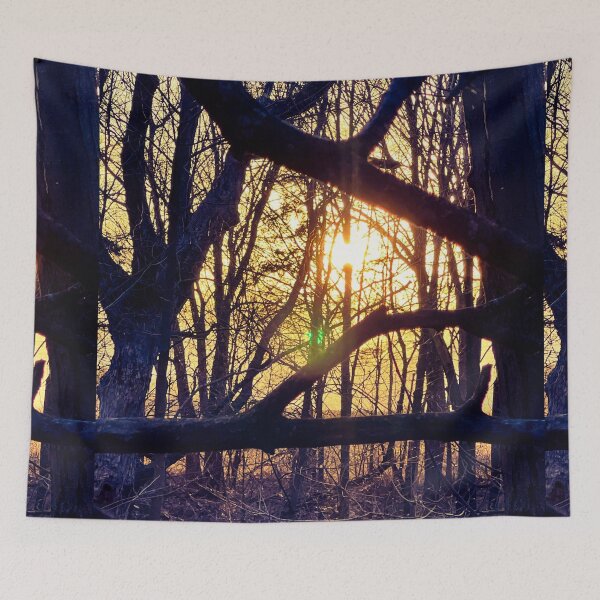 Item preview, Through the Branches – Forest Light at Sunset Nature Photography designed and sold by aadventures.