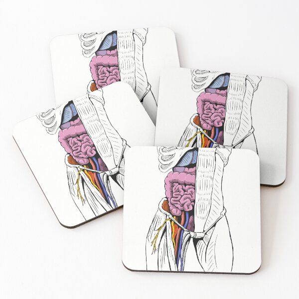 Item preview, Human Anatomy Poster – Open Torso Illustration – Internal Organs & Muscle Anatomy – Medical Art Print designed and sold by AnatomyJoan.