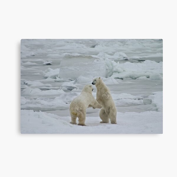 Stand for a shoreline dance Canvas Print