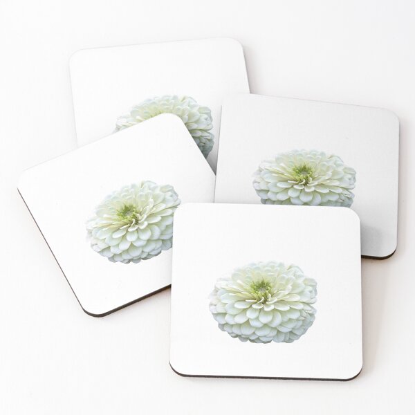 Item preview, Polar Bear Zinnia Flower designed and sold by The Palmisano Collective .