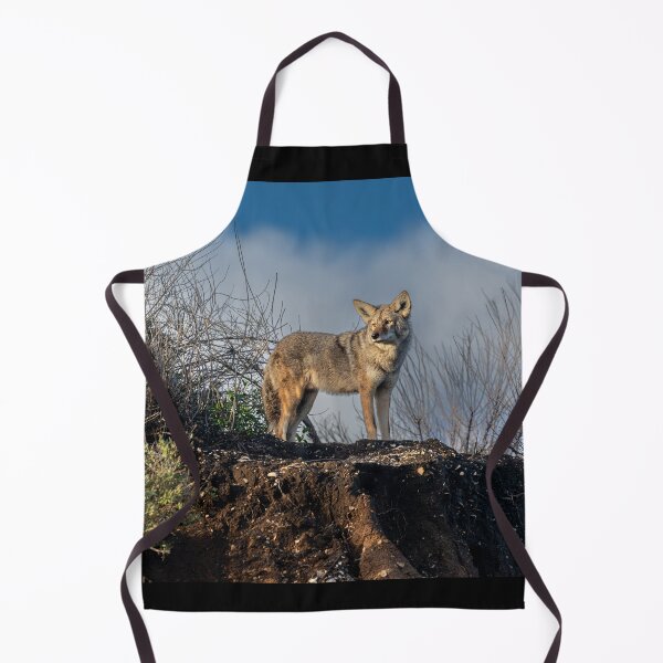 Item preview, Coyote Watching The Sun Go Down designed and sold by PsychoAlien.com.