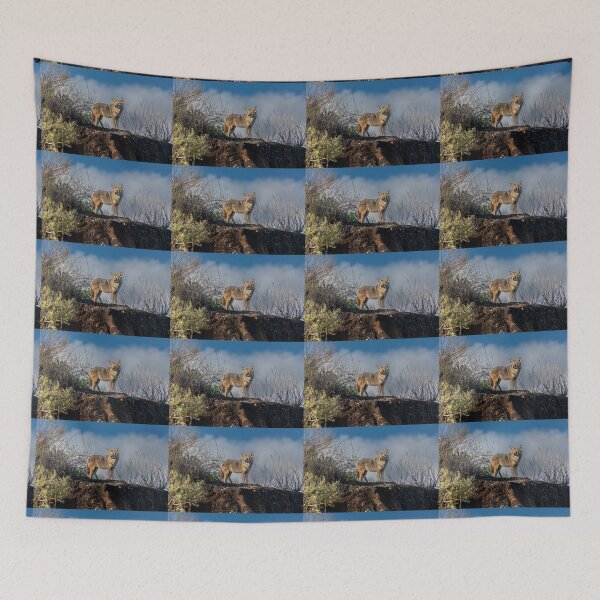 Item preview, Coyote Watching The Sun Go Down designed and sold by PsychoAlien.com.