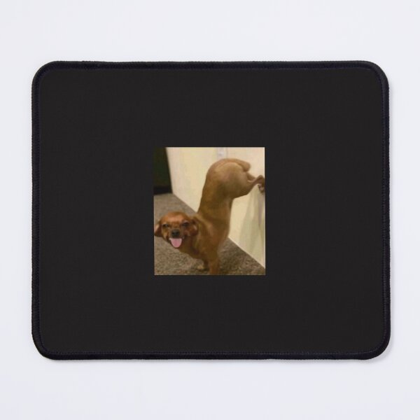 Item preview, Baddie Meme Dog With Feet On The Wall designed and sold by daniellajaz-funkywork.