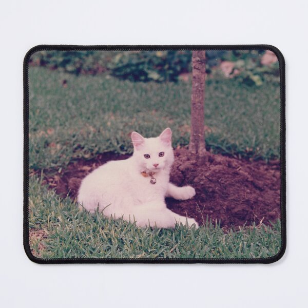 Item preview, Lucas the Cat designed and sold by franciscopabloh.
