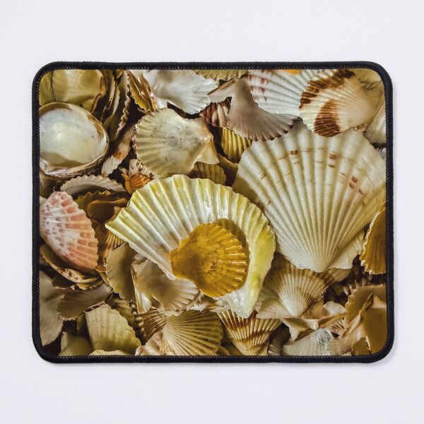 Item preview, Seashell Collection – Coastal Texture Scallop Shell Pattern Photography designed and sold by aadventures.