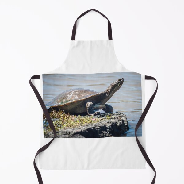 Item preview, Turtle Standing Alert designed and sold by D-GaP.