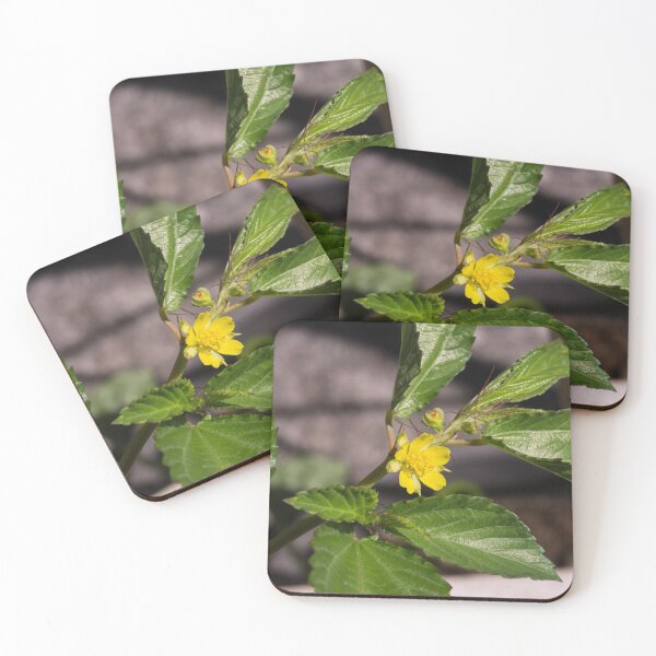 Item preview, Egyptian spinach designed and sold by ROSE ANN BANILAR.