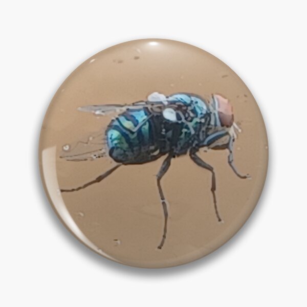 Item preview, Fly on the Glass Photo designed and sold by chucktownjax.