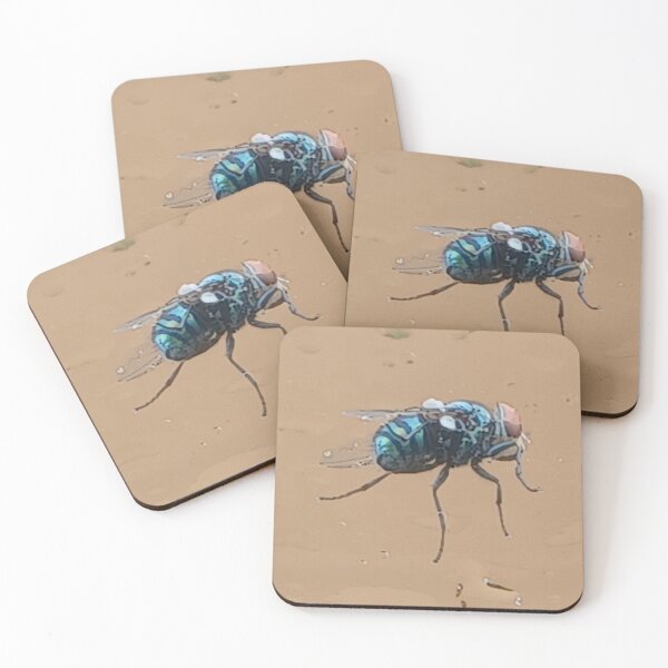 Item preview, Fly on the Glass Photo designed and sold by chucktownjax.