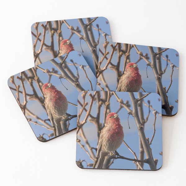 Item preview, Red Bird designed and sold by Cgaskins.