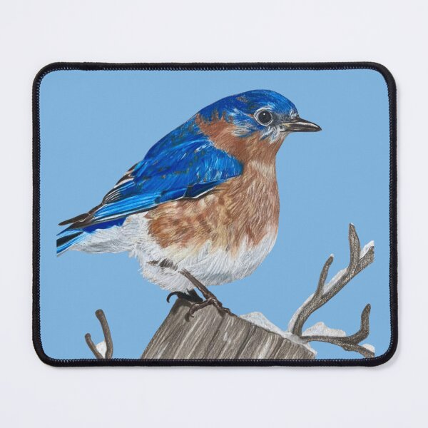 Item preview, Eastern Bluebird Colored Pencil Art designed and sold by Heather Barker.