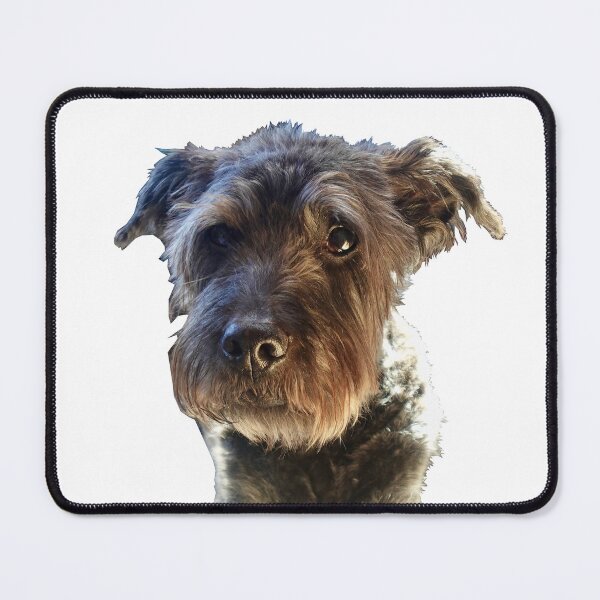 Item preview, Leonard designed and sold by Cole's Quilts.