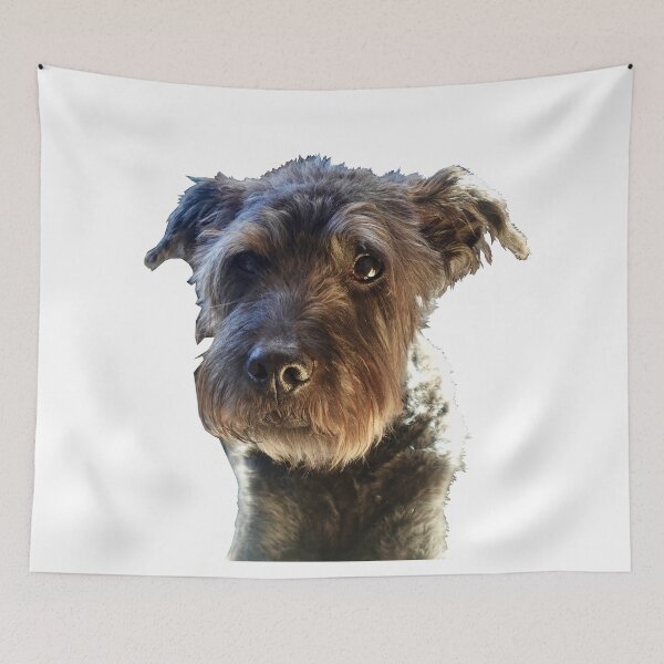 Item preview, Leonard designed and sold by Cole's Quilts.