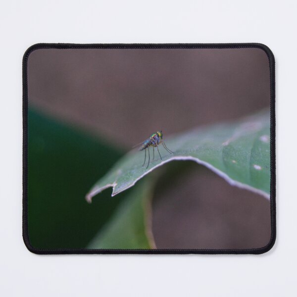 Item preview, long-legged fly designed and sold by ROSE ANN BANILAR.