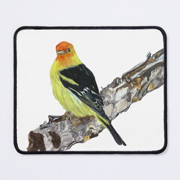 Item preview, Alight Western Tanager Colored Pencil Drawing designed and sold by Heather Barker.