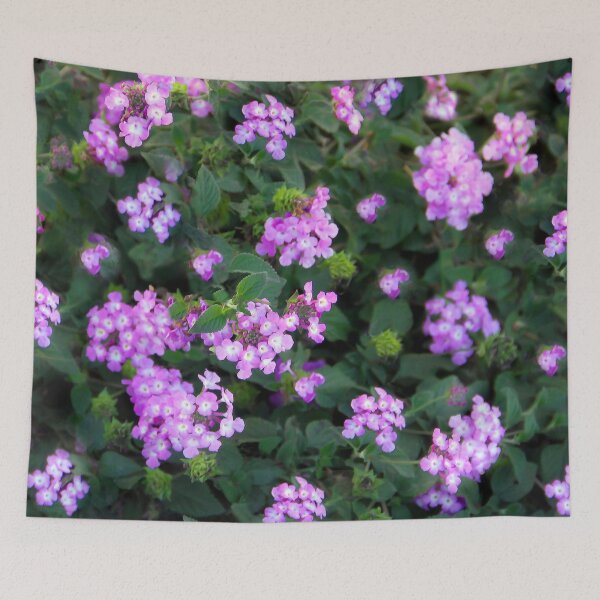 Item preview, Blooming! designed and sold by heatherfriedman.