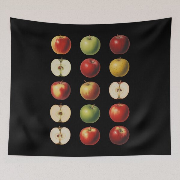 Item preview, Realistic Different Kinds Of Apple Varieties Apple Picking designed and sold by papertaless.