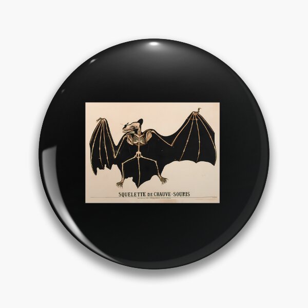 Item preview, Vintage Bat Skeleton French Zoology Art designed and sold by tbswtkawwz11.