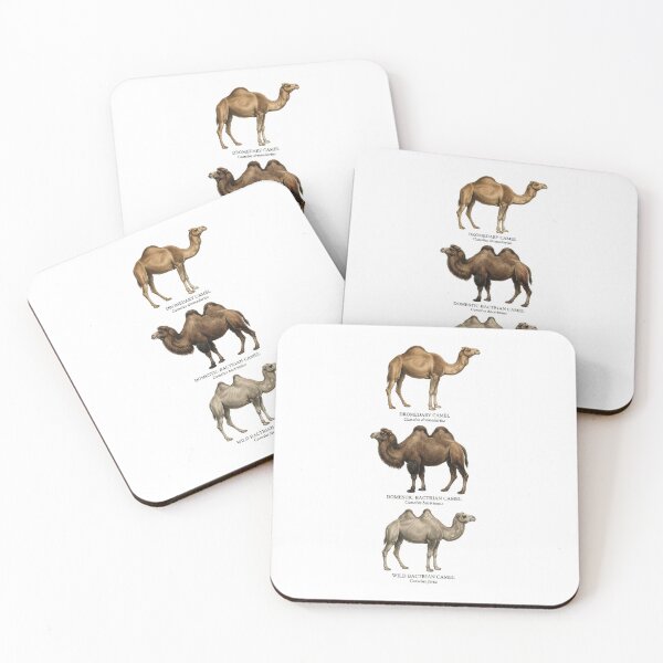 Item preview, Old World Camel Species designed and sold by ArunDandiboina.
