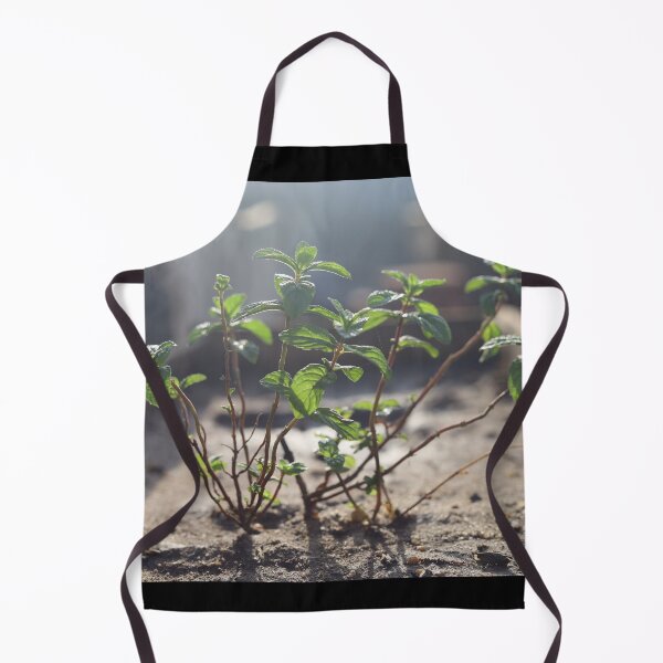 Item preview, Mint reflects the colors of the sun designed and sold by nagyphotography.