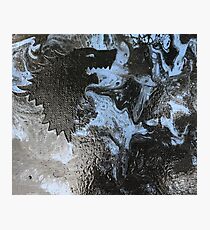 Winter Photographic Print