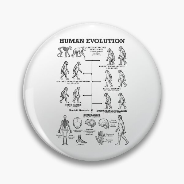 Item preview, Human Evolution Anthropology Funny Science Teacher Diagram designed and sold by GrandeDuc.