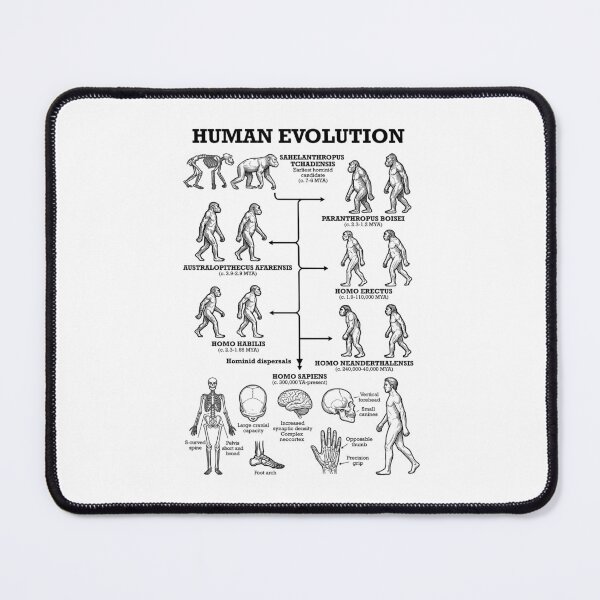 Item preview, Human Evolution Anthropology Funny Science Teacher Diagram designed and sold by GrandeDuc.
