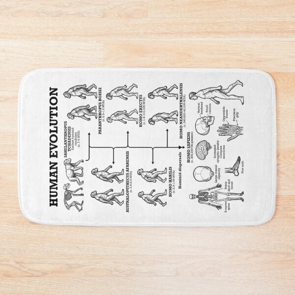 Item preview, Human Evolution Anthropology Funny Science Teacher Diagram designed and sold by GrandeDuc.