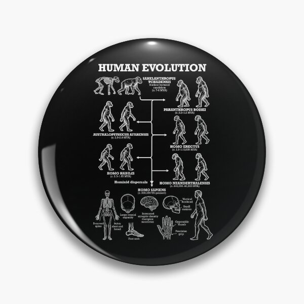 Item preview, Human Evolution Anthropology Funny Science Teacher Diagram designed and sold by GrandeDuc.
