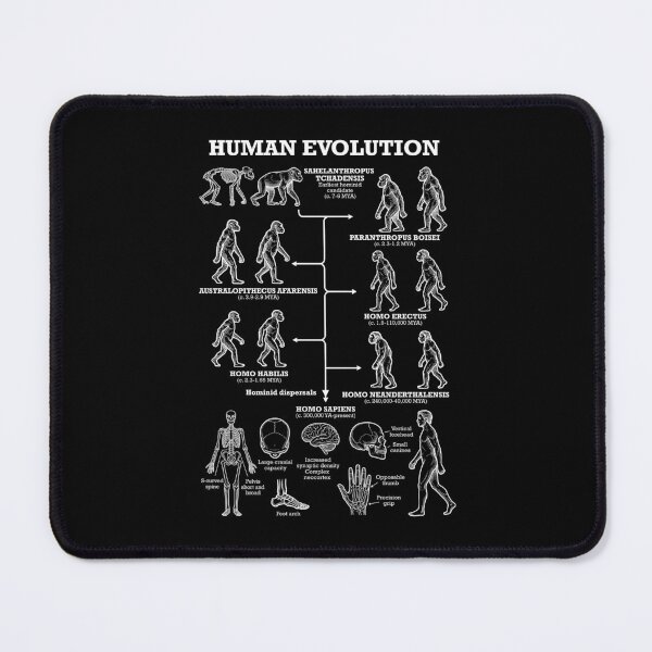 Item preview, Human Evolution Anthropology Funny Science Teacher Diagram designed and sold by GrandeDuc.