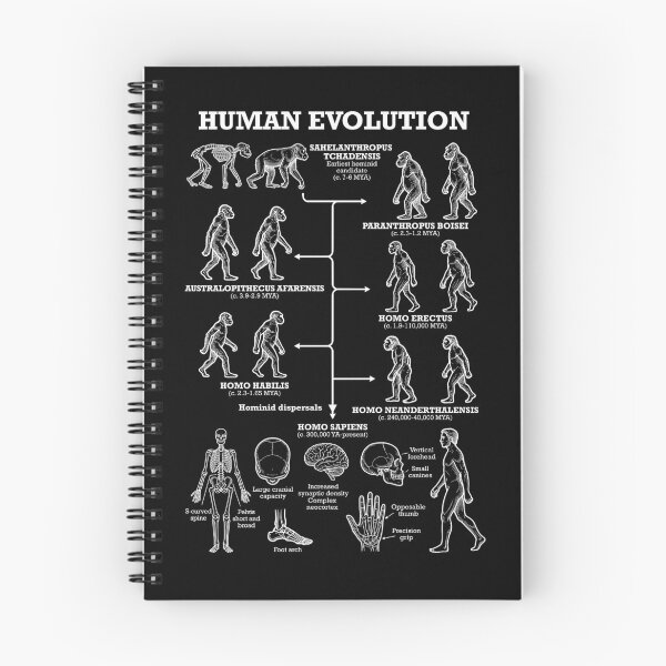 Item preview, Human Evolution Anthropology Funny Science Teacher Diagram designed and sold by GrandeDuc.