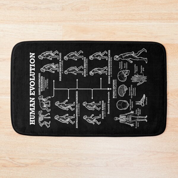 Item preview, Human Evolution Anthropology Funny Science Teacher Diagram designed and sold by GrandeDuc.